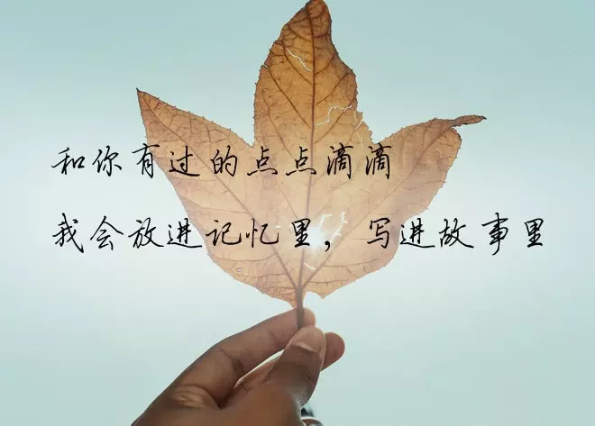 4、不糾纏不打擾的網名:表示不糾纏不打擾的網名是什麼？