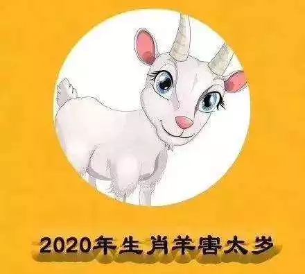 屬鼠和屬羊能在一起嗎，生肖鼠和羊走到一起會怎樣