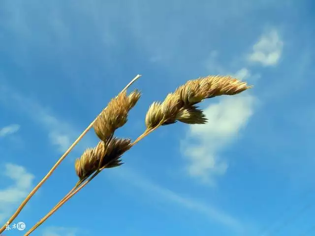 什麼命最旺天河水，地河水是什麼水