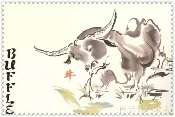 2、牛天旋的人的运势:宝额头牛头旋怎么留发型好看