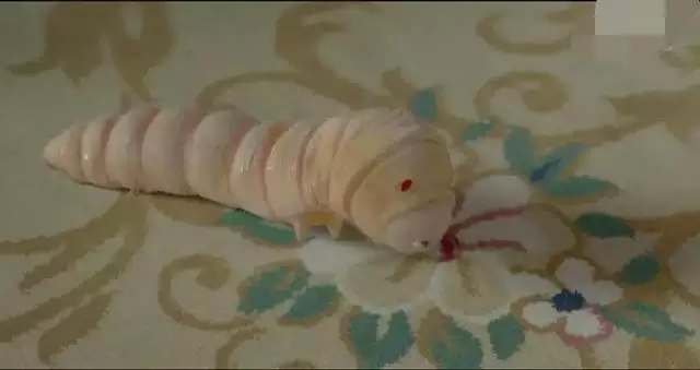 無心法師原著里很黃，無心法師1迅雷下載