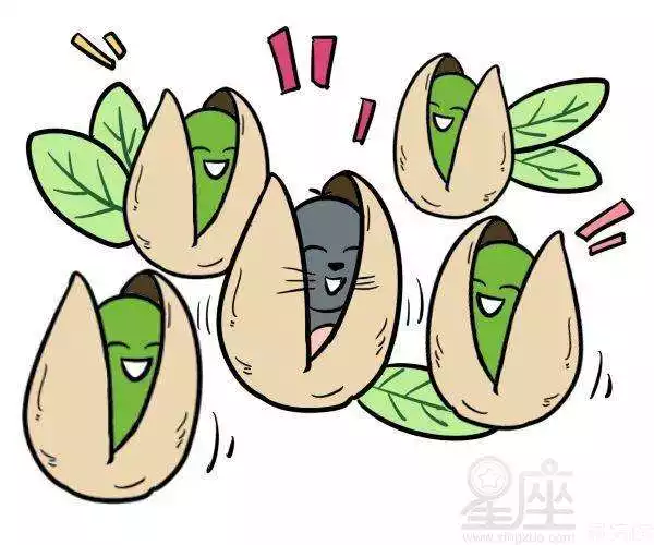 008年屬鼠的男孩是什麼命，2008年屬鼠在2022