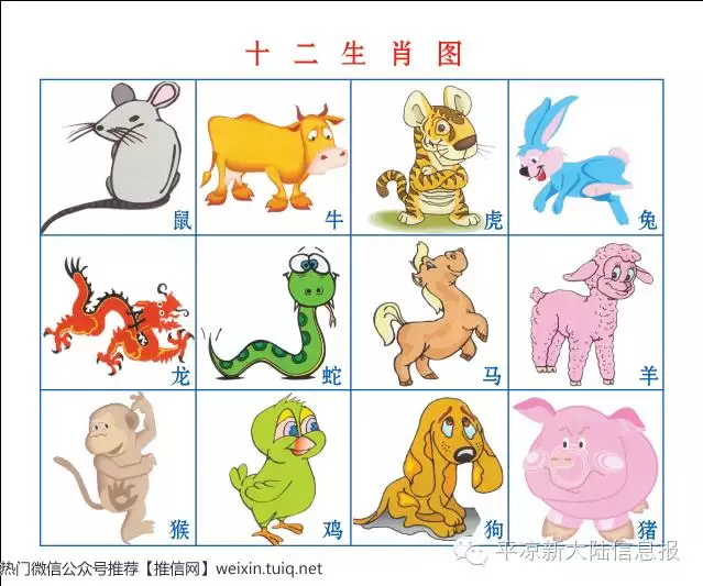 1、12生肖年份表:12生肖是什么