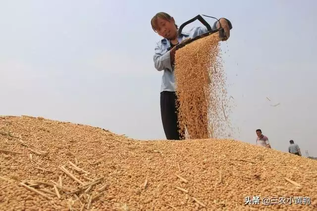 2021年农历九月五行属什么 2021年农历九月五行属什么