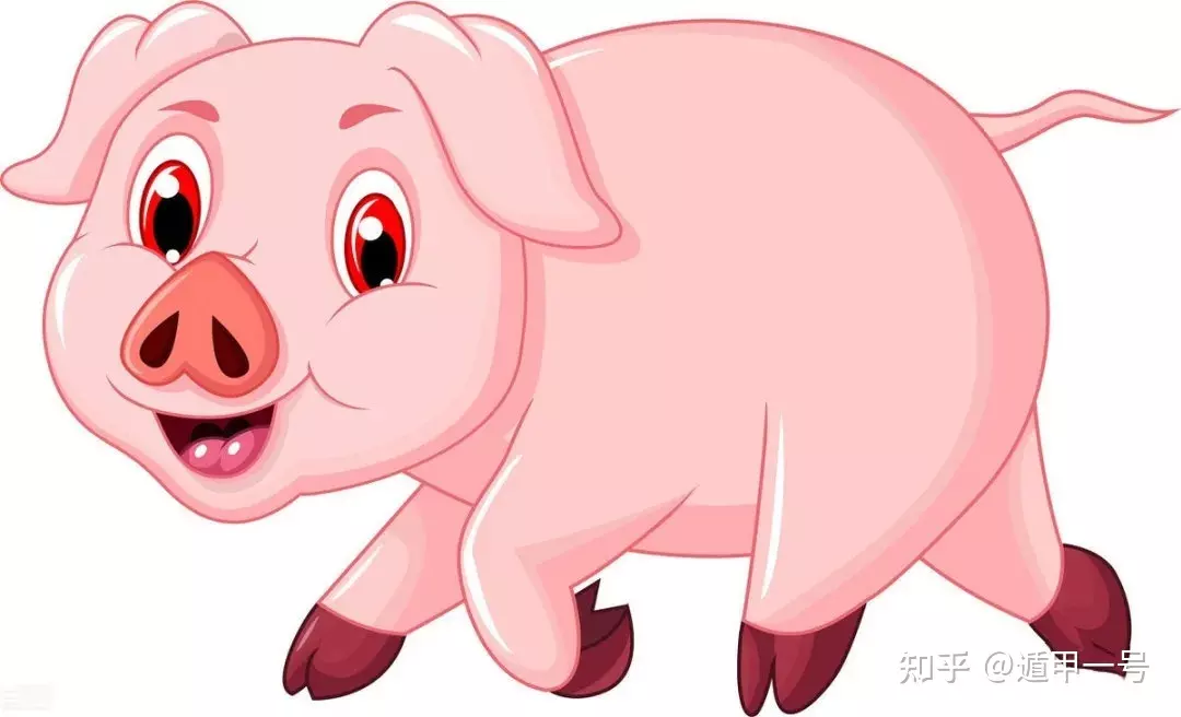 1、属猪人年运势运程每月运程:属猪人的全年运势如何