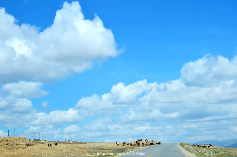 2、每天:愣严要念遍说明这个不怎么样历害的都很殊胜？