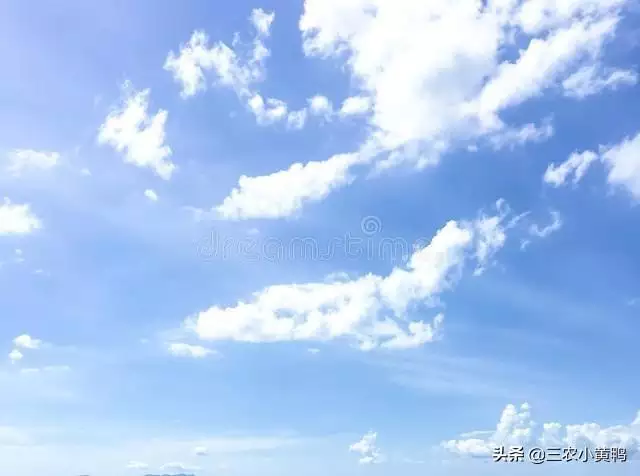 022牛年羊運好嗎，91屬羊人三大劫2022