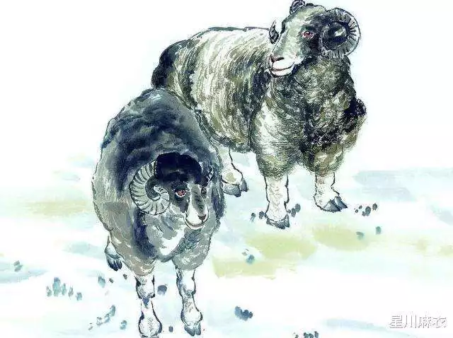 農曆十一月的羊女好不好,1991年屬羊男和屬羊女