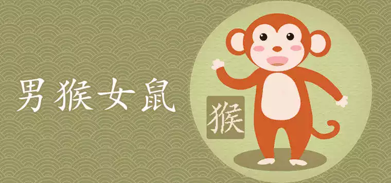 1、属猴和属鼠的婚姻如何:属猴的和属鼠的婚姻相配吗