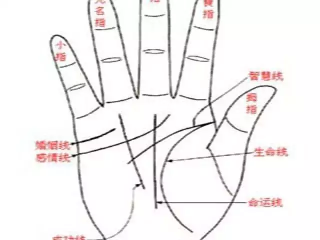 1、看手相测婚姻免费:请问谁会看手相，看感情婚姻方面的。