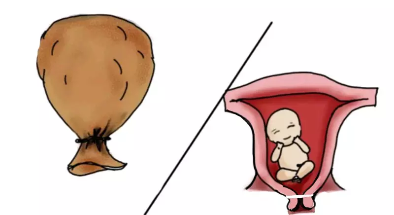 4、人流的孩子算不算命中子女:算命一生有幾個孩子