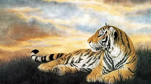 2、属猴避开生几月的虎:年属猴可以生虎宝宝吗