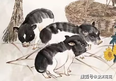 3、年出生年运势:年6月8号出生的人年运势？