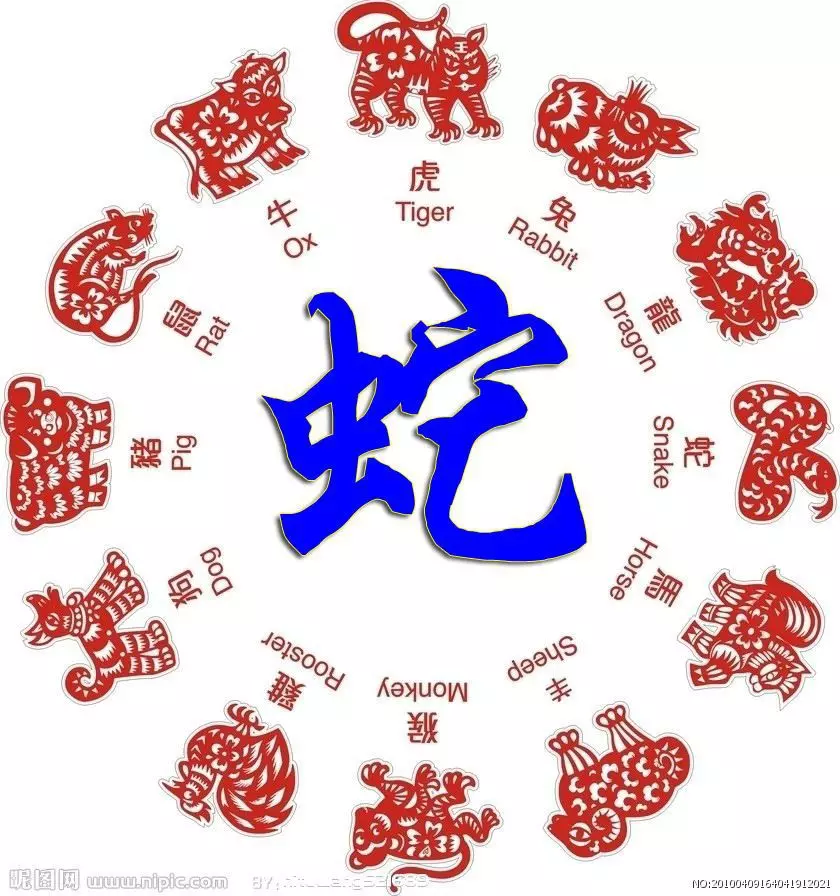 屬蛇的2022年每月運勢及運程，2022 年屬豬運勢及運程每月運程