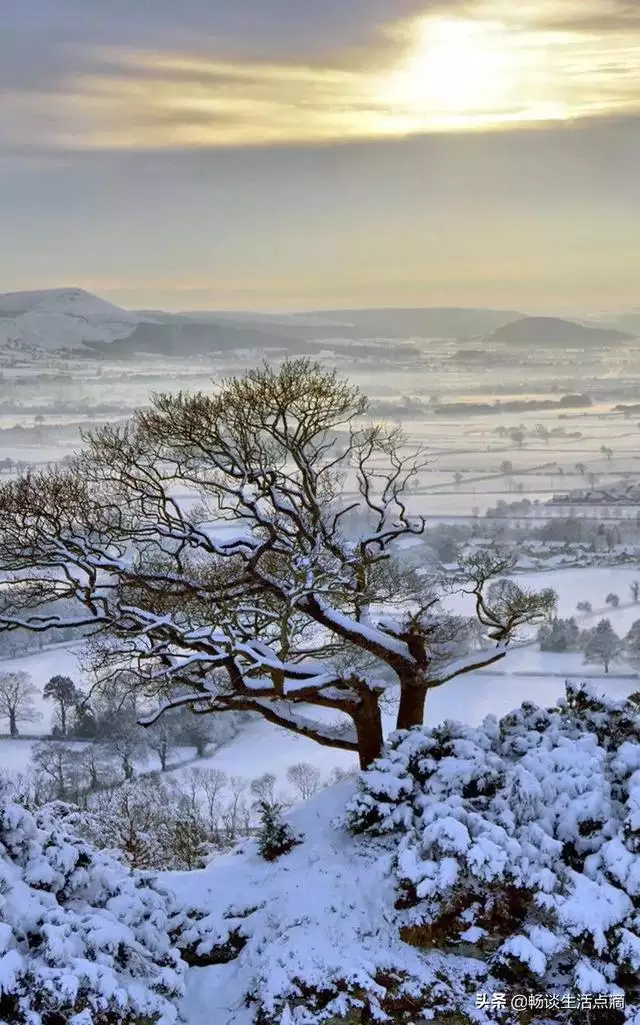 農曆十月一日順口溜，二十四節氣表順口溜