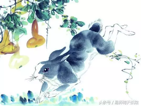 975属兔人2022年运势，75年属兔47岁有一灾"