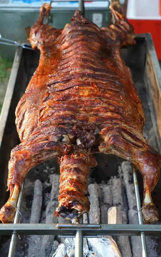 各種羊的圖片大全,無角陶賽特羊