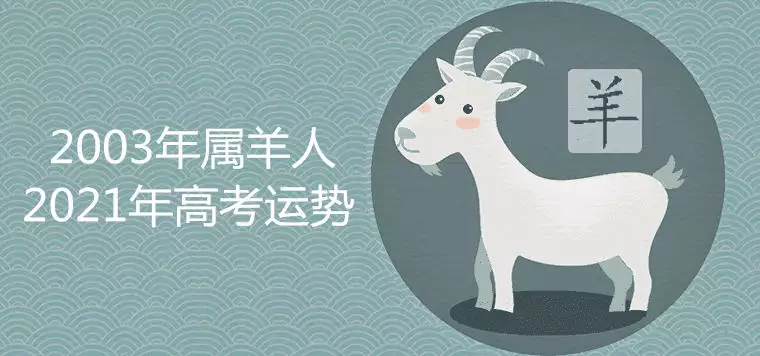 4、属兔的今年高考运势:今年属兔的运程怎样