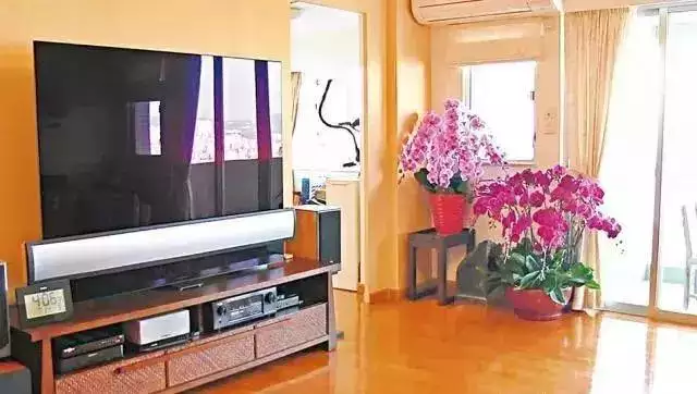 宋韶光2022年生肖馬運程，宋韶光2022 年每月運勢
