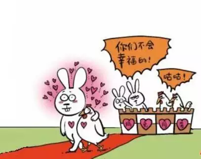 雞兔夫妻怎樣才能長久，屬雞女適合做夫妻嗎
