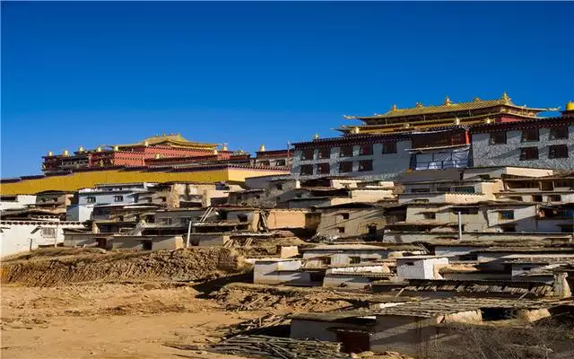屬雞的情人註定是什麼屬相，雞的夢中情人是什麼生肖