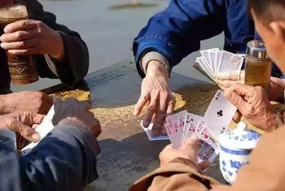 2、属猪人财运打麻将:属猪人，打麻将应该做什么，方位