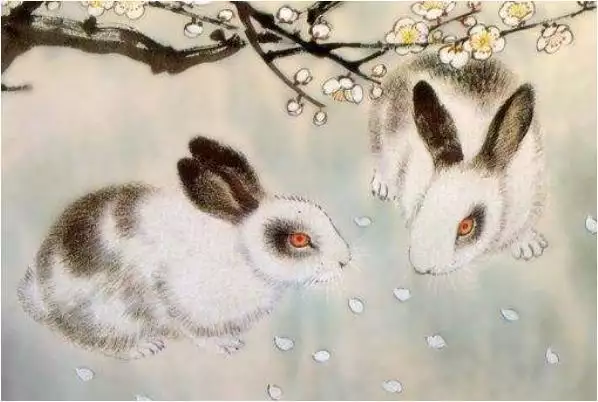 属兔阴历几月出生更好,属兔女孩农历几月出生更好