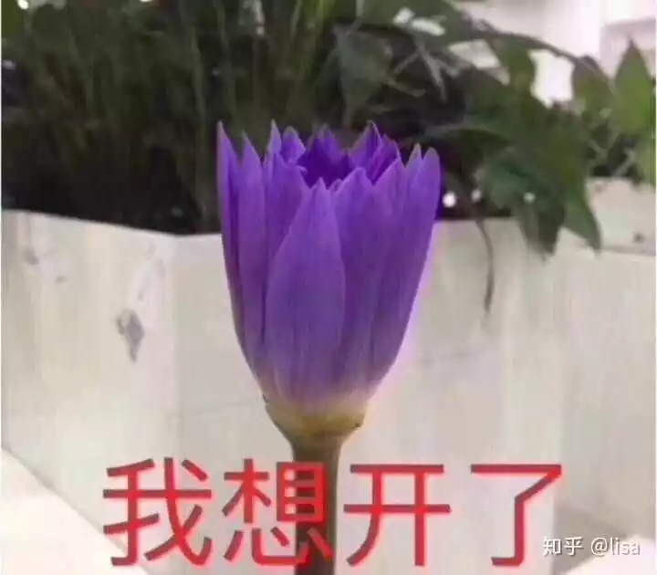 2、找對象需要緣分嗎:找對象真的看緣分嗎，不是更多的是自己爭取嗎？
