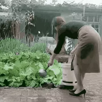 屬猴的和屬虎的相差幾歲，男猴子大女虎6歲