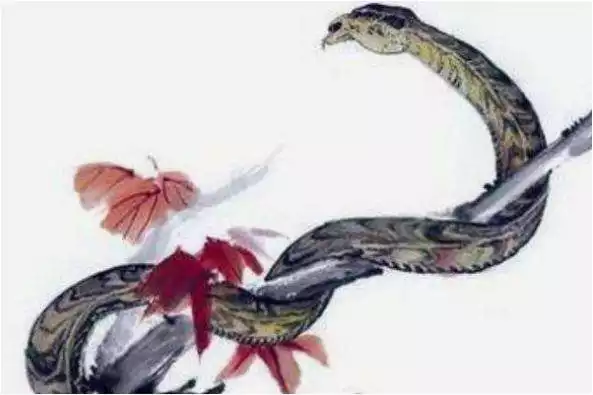 屬蛇的農曆每月運勢，屬蛇的下半年每月運勢
