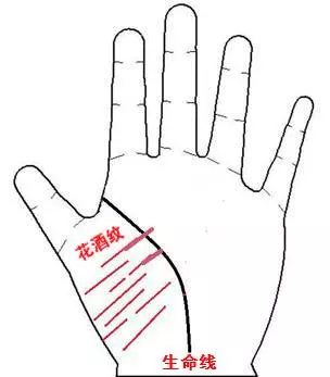 4、命理鼠兔相刑:鼠兔相刑一般几年出现不好