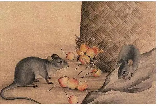 屬鼠的財運貴人是誰，屬狗人出生時辰和財運