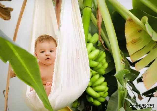 更好听的男孩小名，2022 牛宝宝最火乳名满米