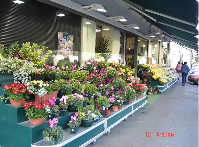花店五行属什么