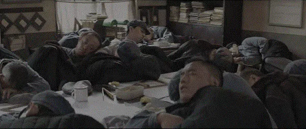 豬和牛在一起事業旺嗎，男豬女牛能過一輩子嗎