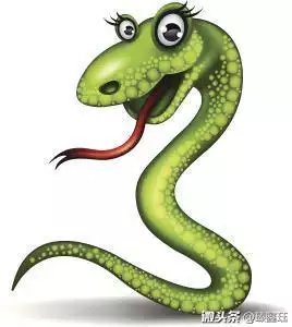 屬豬與什麼屬相相剋相衝,屬豬忌諱什麼屬相