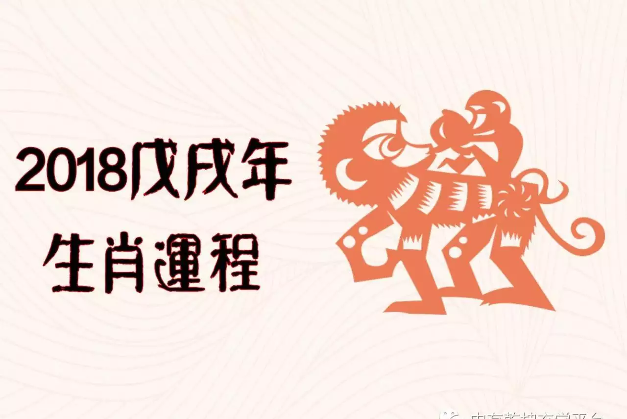3、猴年属蛇人的运势:十二生肖中蛇和猴运气