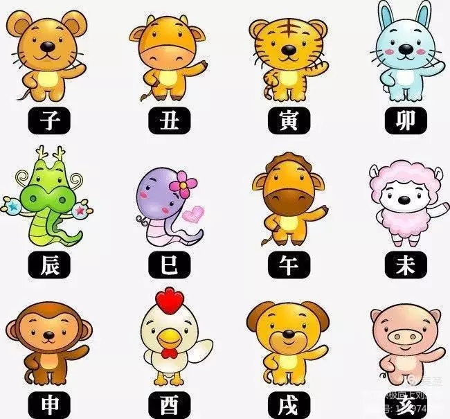 1、什么冲什么生肖:什么冲什么生肖