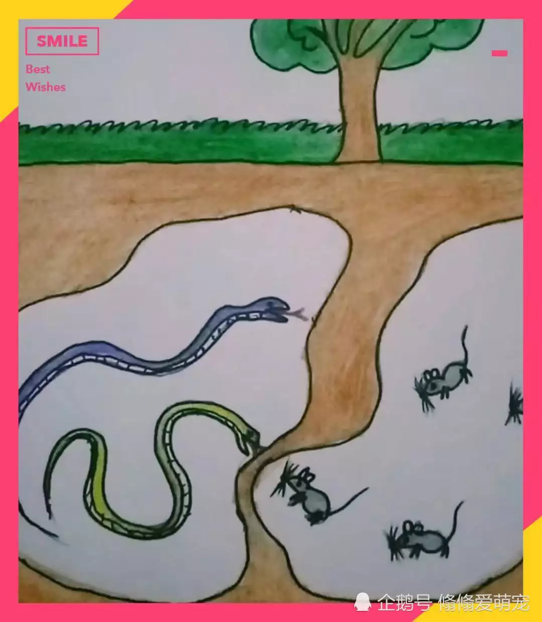 蛇爸爸和鼠兒子合不合，蛇和老鼠屬相合不合家庭