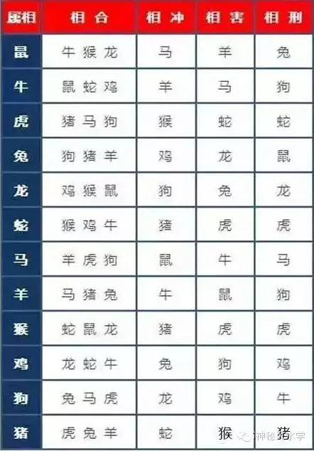 3、属相相冲和相克的区别:十二生肖的相生相克