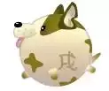 屬狗人一生更大剋星98年屬什麼，屬狗人的正緣在哪一年