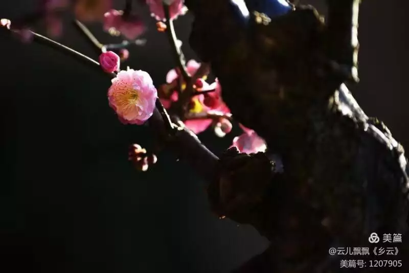 2、烧出供香怎么化解:给上香，供香，怎么办？