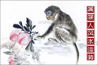 1、年属猴人运势运程:李居明属猴人年运程