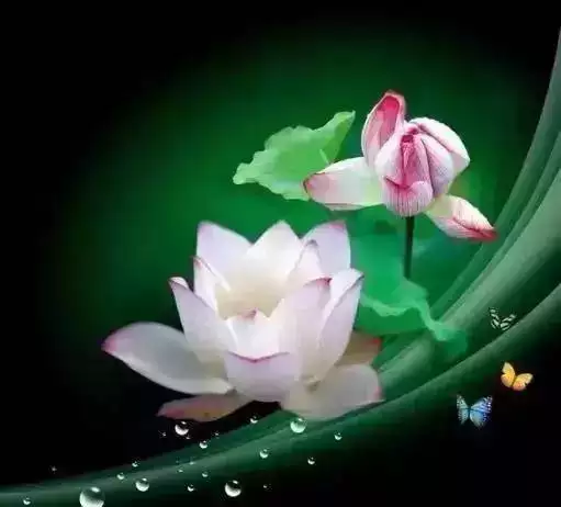 3、今生的婚姻不順是因為前世:請問今生的命運和婚姻都很不好,是不是前世的原因呢
