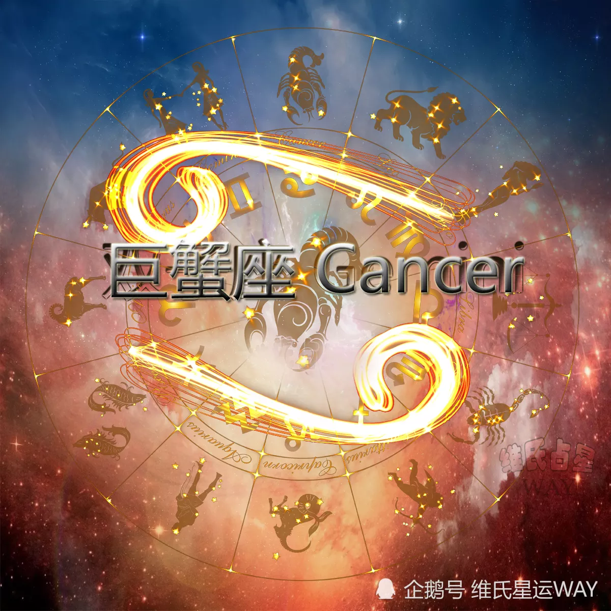 1、巨蟹座今年运势女:巨蟹座女生的运势