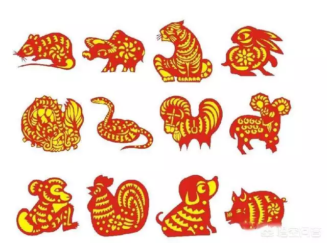 5、属狗跟属龙的人结婚好不好:属狗跟属龙的成夫妻合适吗