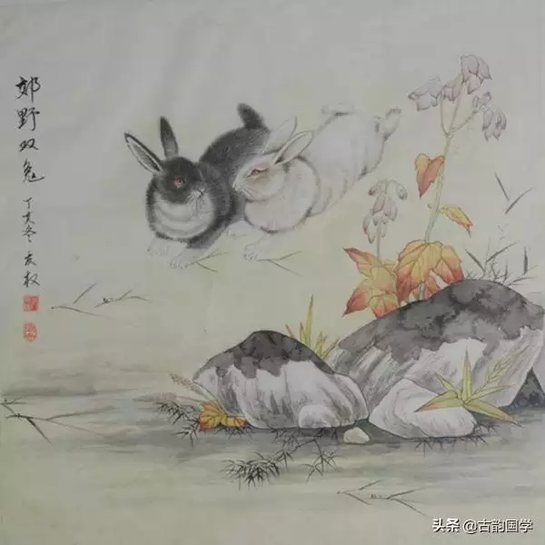 屬羊和雞生什麼屬相寶寶好，雞和羊生什麼屬相更好