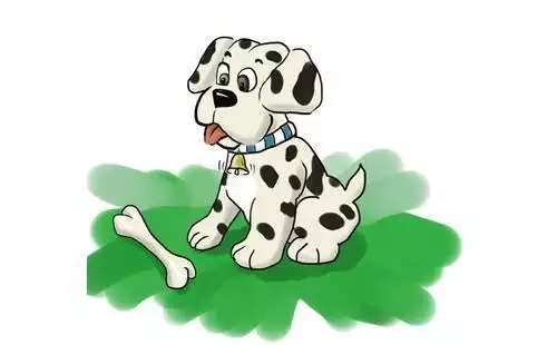 0歲后開始走運的人,面相哪個部位決定30歲后的運勢"