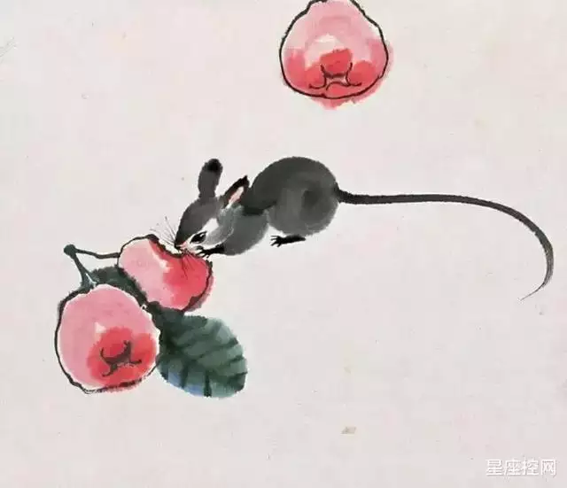 屬虎在什麼方位發展比較順利,生肖虎適合在什麼方位發展
