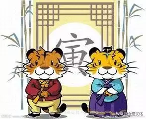 生肖虎最近运势，最近几天生肖虎的运气